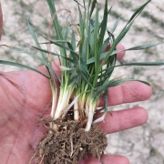 WhatsApp-Image-2021-03-31-at-104517