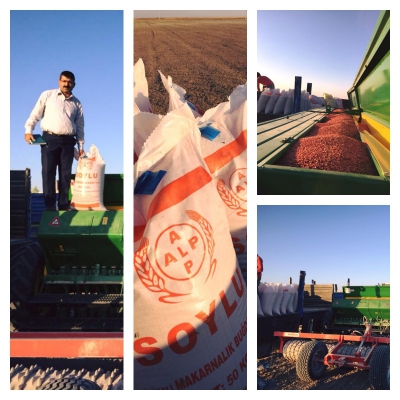 Soylu Makarnalık Buğday Tohumluklarının ekimlerinde mibzer başındaydı.